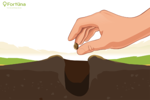 planting-feminized-hemp-seeds-cbd-c