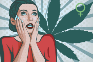 the-wife-hemp-strain-high-cbd-seeds-reviews-c